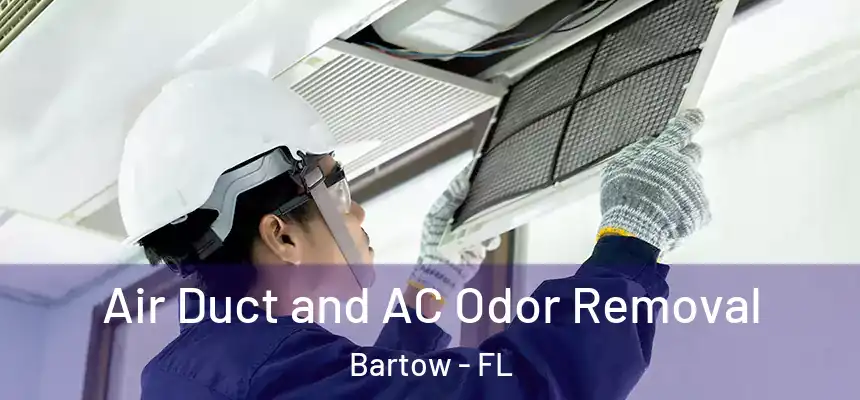 Air Duct and AC Odor Removal Bartow - FL