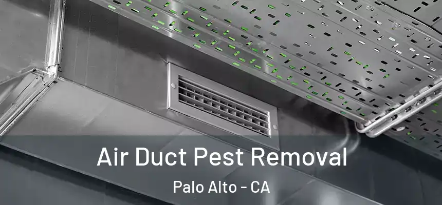 Air Duct Pest Removal Palo Alto - CA