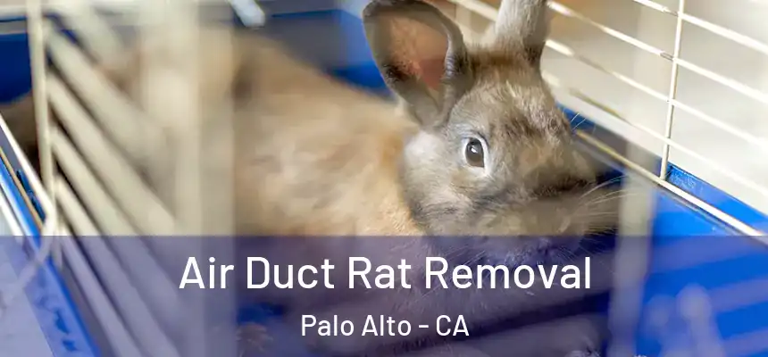 Air Duct Rat Removal Palo Alto - CA