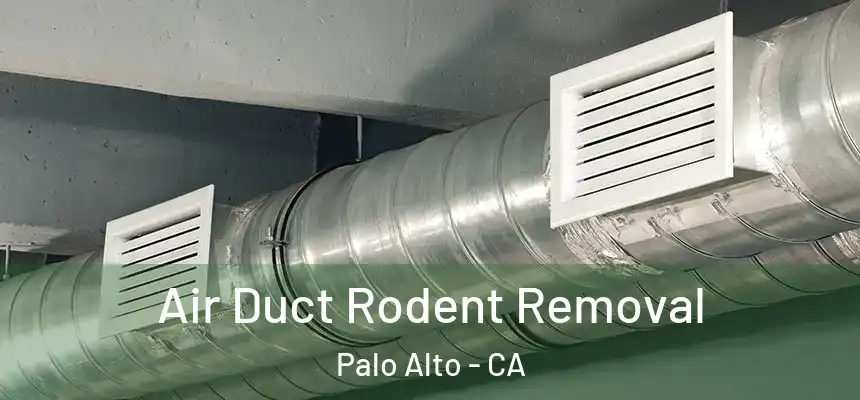 Air Duct Rodent Removal Palo Alto - CA