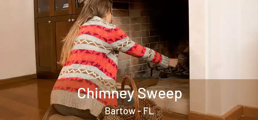 Chimney Sweep Bartow - FL