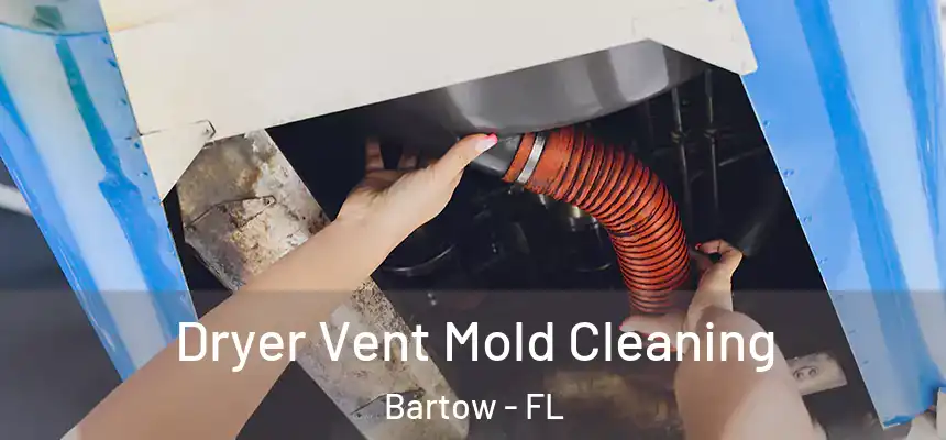 Dryer Vent Mold Cleaning Bartow - FL