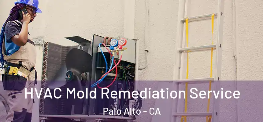 HVAC Mold Remediation Service Palo Alto - CA