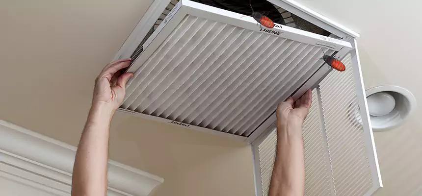 Preventive Cockroach-Proofing for Ducts in Bartow