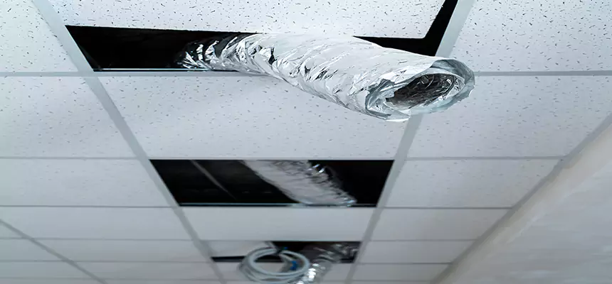 Our Air Duct Pet Hair Removal Services in Palo Alto, CA