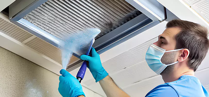 Proactive Dryer Vent & Auxiliary Duct Pollen Cleanup in Bartow, FL