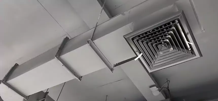 Our Pest Removal From Ducts Services in Palo Alto, CA