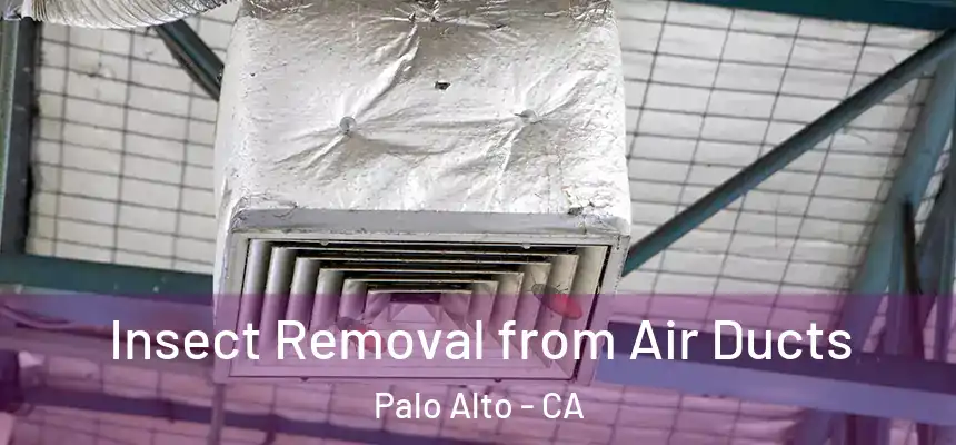 Insect Removal from Air Ducts Palo Alto - CA