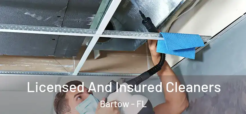 Licensed And Insured Cleaners Bartow - FL