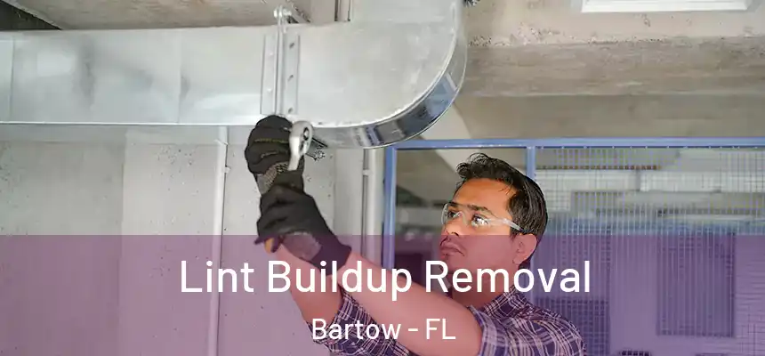 Lint Buildup Removal Bartow - FL