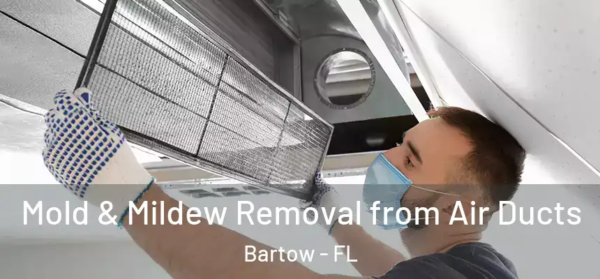 Mold & Mildew Removal from Air Ducts Bartow - FL