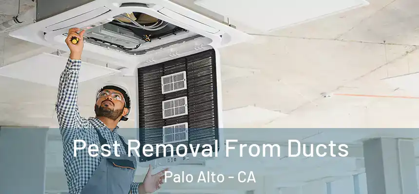 Pest Removal From Ducts Palo Alto - CA
