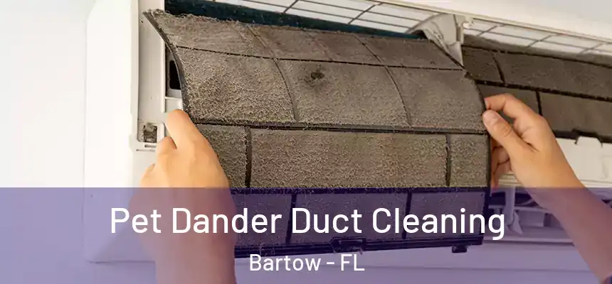 Pet Dander Duct Cleaning Bartow - FL