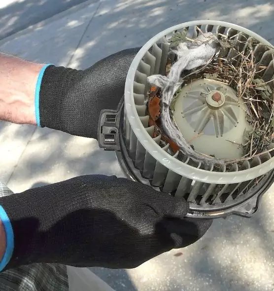 About Air Duct Mice Removal in Bartow, FL