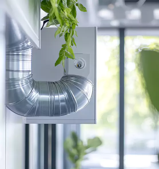 Professional Eco-Safe Dryer Vent Cleaning in Palo Alto, CA