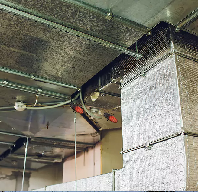 Why Homeowners & Businesses Trust Us in Bartow, FL?