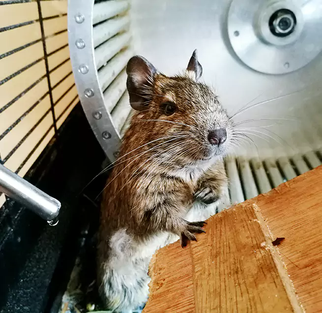 Why Homeowners & Businesses Trust Us Bartow, FL