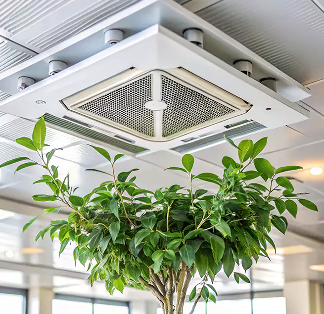 Why Homeowners & Businesses Trust Us in Palo Alto, CA