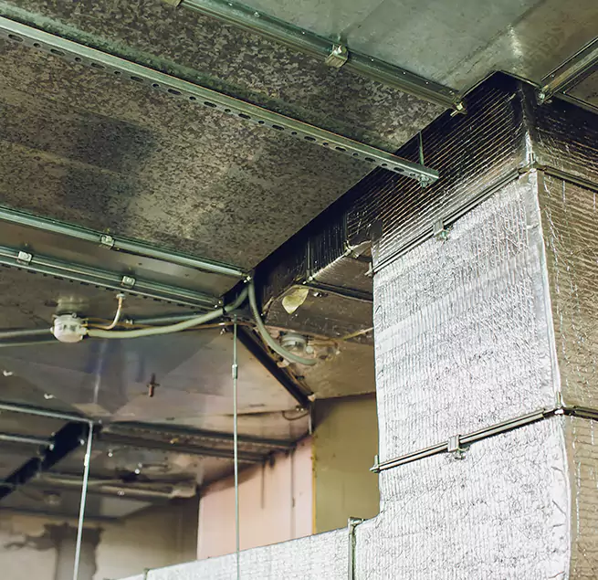 Why Homeowners & Businesses Trust Us in Palo Alto, CA?